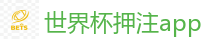 2026世界杯买球官方网站